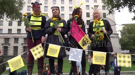 Bee Happy!  Extinction Rebellion bees and sunflowers in Whitehall as climate change protests start in London