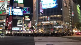 Shibuya Junction - The World’s busiest intersection.