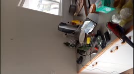 George the Crimson Rosella brought his friend the King Parrot for lunch today