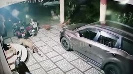 Dog escapes jaws of death when attacked by leopard in west India