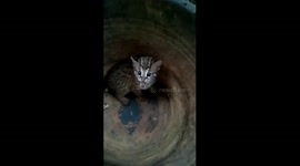 Residents rescue leopard cub from sewer drain in Indonesia