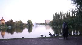 Goose enjoy Pildammsparken in Autumn.