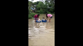Dogs enjoy tub ride on flooded road in Thailand
