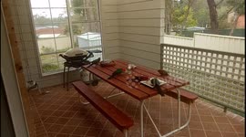 One day at home. Playing with the birds on the back deck