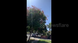 Newsflare Edit - Innocent man gets violated then Tazed