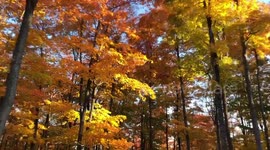 Gorgeous Fall Colours