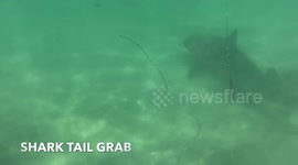 #Shark tail grab! Do Not Try This! - UnderWater World
