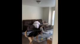 When your dog is also your wingman