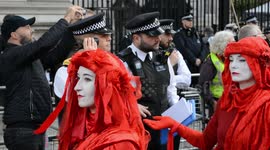 Extinction Rebellion protesters leave red handprints on Whitehall and Treasury building