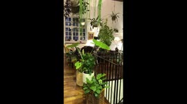 British man shows off 