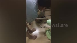 Thai woman smashes pot to free trapped cat