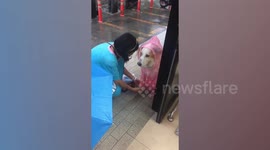 Kind Thai woman gives drenched stray dog a pink rain coat during storm
