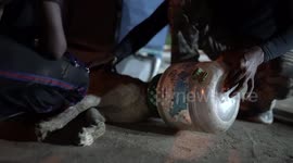 Dog saved from plastic bottle trapped on its head for TWO days in west India