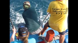 Fisherman has epic struggle with 30lb cobia fish