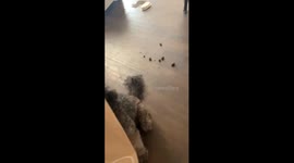 Someone had a party while I was at work!