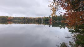 Falling Leaves on a Northern Maine Lake