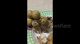 Thai woman finds scorpion crawling across the fruit she bought from market