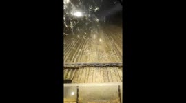 Combining late night show of nature