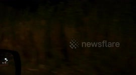 Dash Cam Record Fear Road At Night