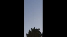 swarm of flies in a horizontal line, incredible