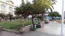 Protests in the city center because of people's discontent over the president’s demands