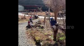 Creepy dolls are used to replace locals in Japanese village