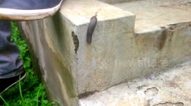 Snail motion as we chitchat with colleagues