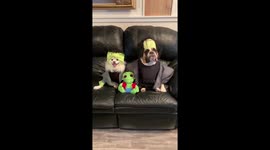 The annual Frankenstein convention has been sold out this year.