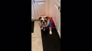 temp