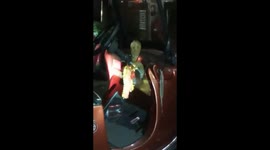 Cobra found wrapped around steering wheel of wedding car in west India