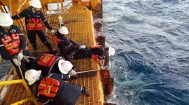 Whale shark rescued from oil rig after having rope tied to its tail in Thailand