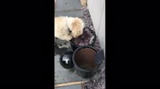 temp