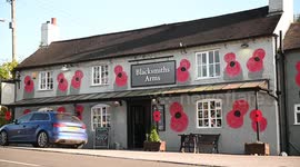 Patriot pub-goers decorate outside of boozer with giant poppies in time for Remembrance Day