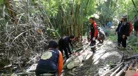 Tour guide stung to death by crazed giant wasps in front of shocked holidaymakers in Thailand