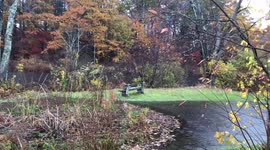Flooded Park in Kennebunk, Maine