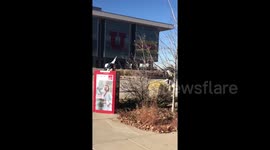 Monty Python Halloween Costumes