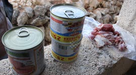 This puppy remains alone after his mother died during a nightly U.S-led raid to kill the leader of ISIS in #Barisha village in Idlib. #Syria #idli