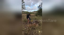 Newsflare Edit - Chainsaw fail