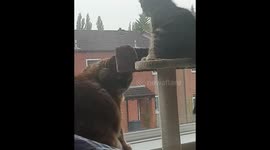 When someone touches your last nerve