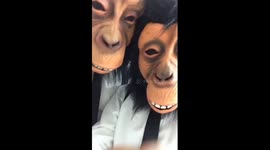Guy scared by monkey masks
