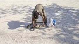 a man in a 2.5 meter long python evacuation field that suddenly appeared in an office yard