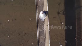 the flight of pigeons over just married couple