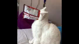 Afternoon shenanigans https://t.co/i38PXg8pn6