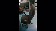 temp