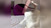 temp