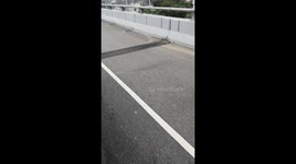 Kids Race Down Freeway On Their Bikes In Malaysia
