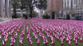 Thousands of Canadian flags planted in Toronto for Remembrance Day