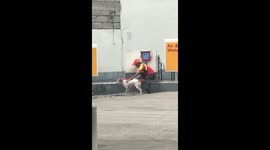 Heartwarming moment petrol station attendant showers stray dog in water hose