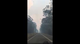Australia bush fire