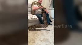 UK dad who owns world's biggest Burmese python measuring at over 18ft bought the snake eight years ago